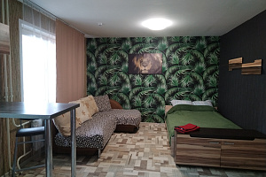 Дома Красноярска в лесу, квартира-студия Светлогорский 9 в лесу
