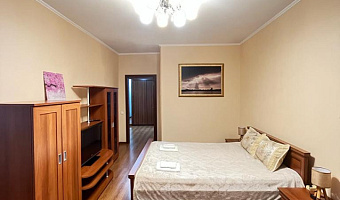 1-комнатная квартира Ярыгинская 23 в Красноярске - фото 5