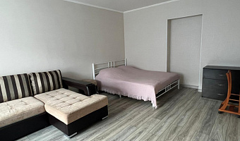 1-комнатная квартира Чистопольская 34 в Казани - фото 2