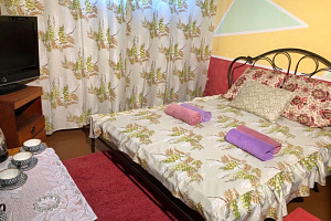 Квартиры Биробиджана 1-комнатные, "Шалом" 1-комнатная - фото