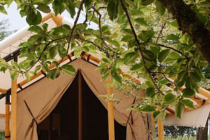 Отели Гудауты в горах, "Bambora glamping" в горах - раннее бронирование