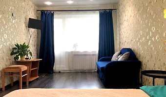 1-комнатная квартира Ломоносова 250 в Архангельске - фото 2