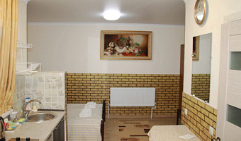 Квартира-студия Ярошенко 16 в Кисловодске - фото 3