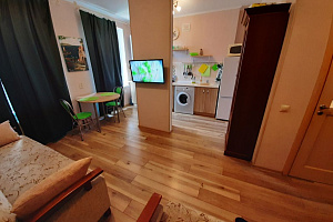 1-комнатная квартира Калининградский 14 в Светлогорске фото 5