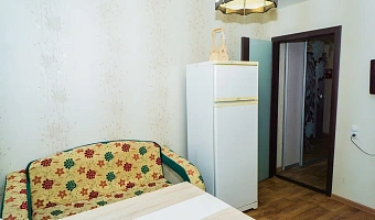 1-комнатная квартира Советская 164 в Тамбове - фото 4