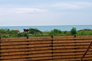 Пансионаты Сухума у моря, "Коттеджи ДАБ" у моря - раннее бронирование