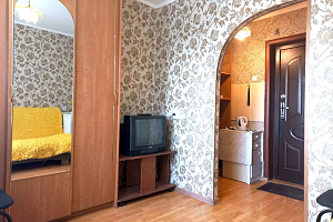 1-комнатная квартира Парашютная 21 в Красноярске 9