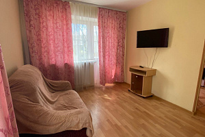 1-комнатная квартира Воскресенский 5 в Великом Новгороде 6