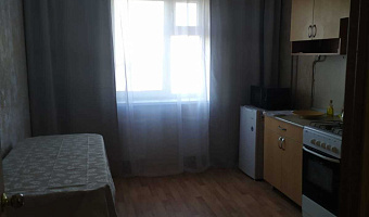 1-комнатная квартира Мало-Московская 26 в Казани - фото 5