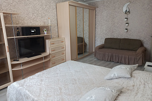 Квартиры Балашихи с размещением с животными, 1-комнатная Струве 3к1 с размещением с животными - цены