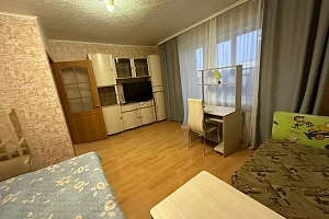 1-комнатная квартира Островского 7 в Арсеньеве фото 5