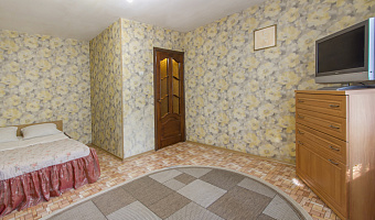 1-комнатная квартира Новгородская 135 в Воронеже - фото 4