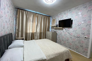 1-комнатная квартира Карбышева 3 в Петропавловске-Камчатском 2