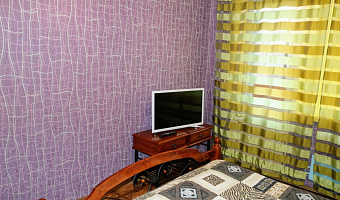 1-комнатная квартира Лизы Чайкиной 16 в Выксе - фото 3