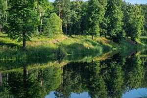 Базы отдыха Московской области в лесу, "Розендорф" в лесу - раннее бронирование