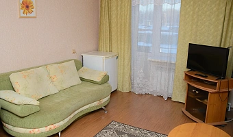 1-комнатная квартира Спиридонова 33 в Сегеже - фото 2