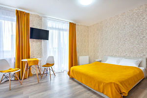 Мотели в Петрозаводске, квартира-студия Энтузиастов 15 мотель - фото