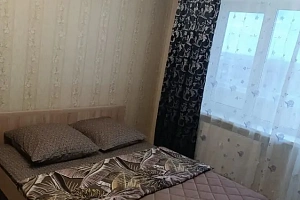 1-комнатная квартира Большая Санкт-Петербургская 106к1