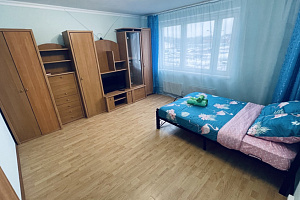 Квартиры Балашихи 1-комнатные, 1-комнатная Дмитриева 4 1-комнатная - фото