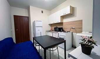 1-комнатная квартира Спасский бульвар 1 в Балашихе - фото 5