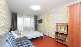1-комнатная квартира Помяловского 8 в Иркутске - фото 5