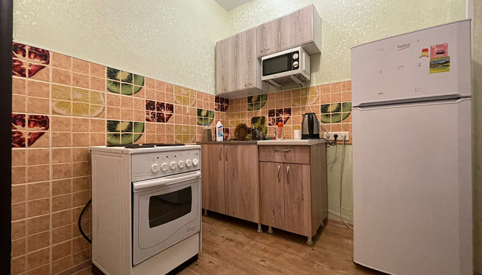 1-комнатная квартира Красный 59 в Новосибирске - фото 1