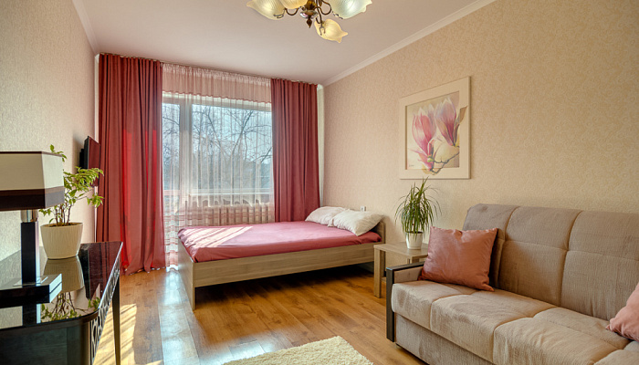 1-комнатная квартира Гайдара 41 в Калининграде - фото 1