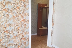 &quot;Отличная в центре Зеленогорска&quot; 1-комнатная квартира в Зеленогорске фото 12