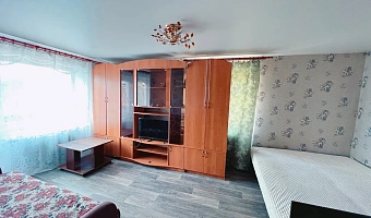 1-комнатная квартира Дзержинского 12 в Медвежьегорске - фото 4