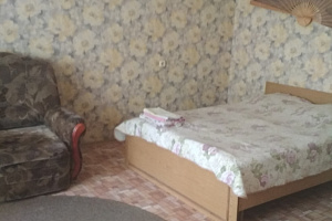 1-комнатная квартира Новгородская 135 в Воронеже 2