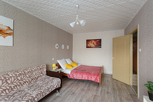 Квартиры Череповца с размещением с животными, 1-комнатная Наседкина 17 с размещением с животными