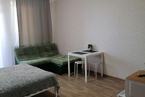 Квартиры Красноярска с размещением с животными, квартира-студия Дудинская 2В с размещением с животными - цены