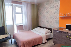 Гостиницы Нижнего Новгорода без предоплаты, квартира-студия Бурнаковская 113 без предоплаты - цены