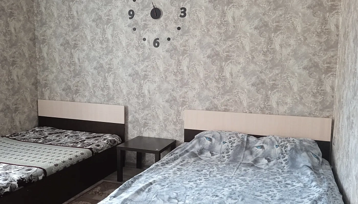 1-комнатная квартира Революции 4 в Павловске - фото 1
