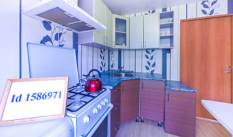 1-комнатная квартира Щорса 94 в Екатеринбурге - фото 3