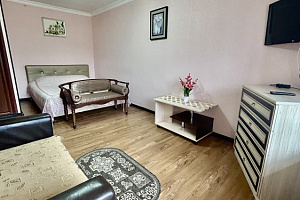 Квартиры Кисловодска с размещением с животными, 1-комнатная Широкая 40 с размещением с животными - цены