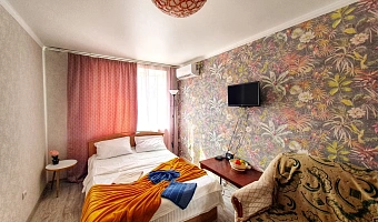 &quot;Уютная для большой семьи&quot; 1-комнатная квартира в Михайловске - фото 4