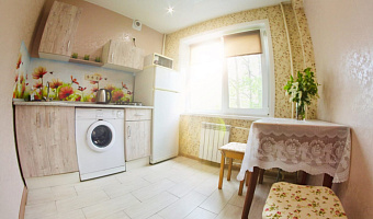 1-комнатная квартира Ломоносова 250 в Архангельске - фото 3