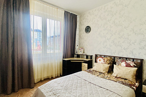 Гостиницы Ноябрьска с размещением с животными, 1-комнатная Советская 108 с размещением с животными