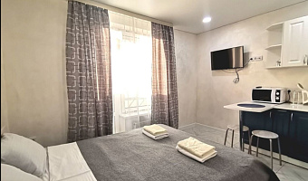 1-комнатная квартира Велижанская 66 в Тюмени - фото 3