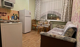 1-комнатная квартира Красный 59 в Новосибирске - фото 4