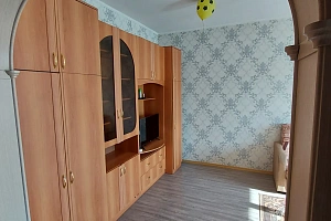 1-комнатная квартира Комсомольская 26/б в Чернышевске фото 4
