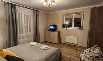 1-комнатная квартира Литовский вал 89 в Калининграде - фото 3