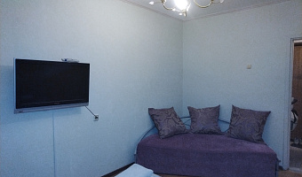 1-комнатная квартира Молокова 31В в Красноярске - фото 3