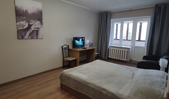 1-комнатная квартира Беланова 95 в Калининграде - фото 2