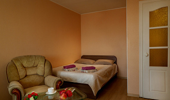 1-комнатная квартира Маршала Конева 29 в Смоленске - фото 2
