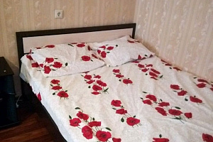 Мотели в Новошахтинске, 1-комнатная Парковая 42 мотель - фото