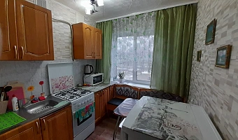 &quot;Уютная рядом с трассой&quot; 2х-комнатная квартира в Павловске - фото 3