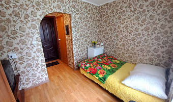 1-комнатная квартира Парашютная 21 в Красноярске - фото 5