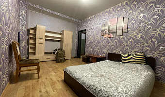 1-комнатная квартира Красный 59 в Новосибирске - фото 3